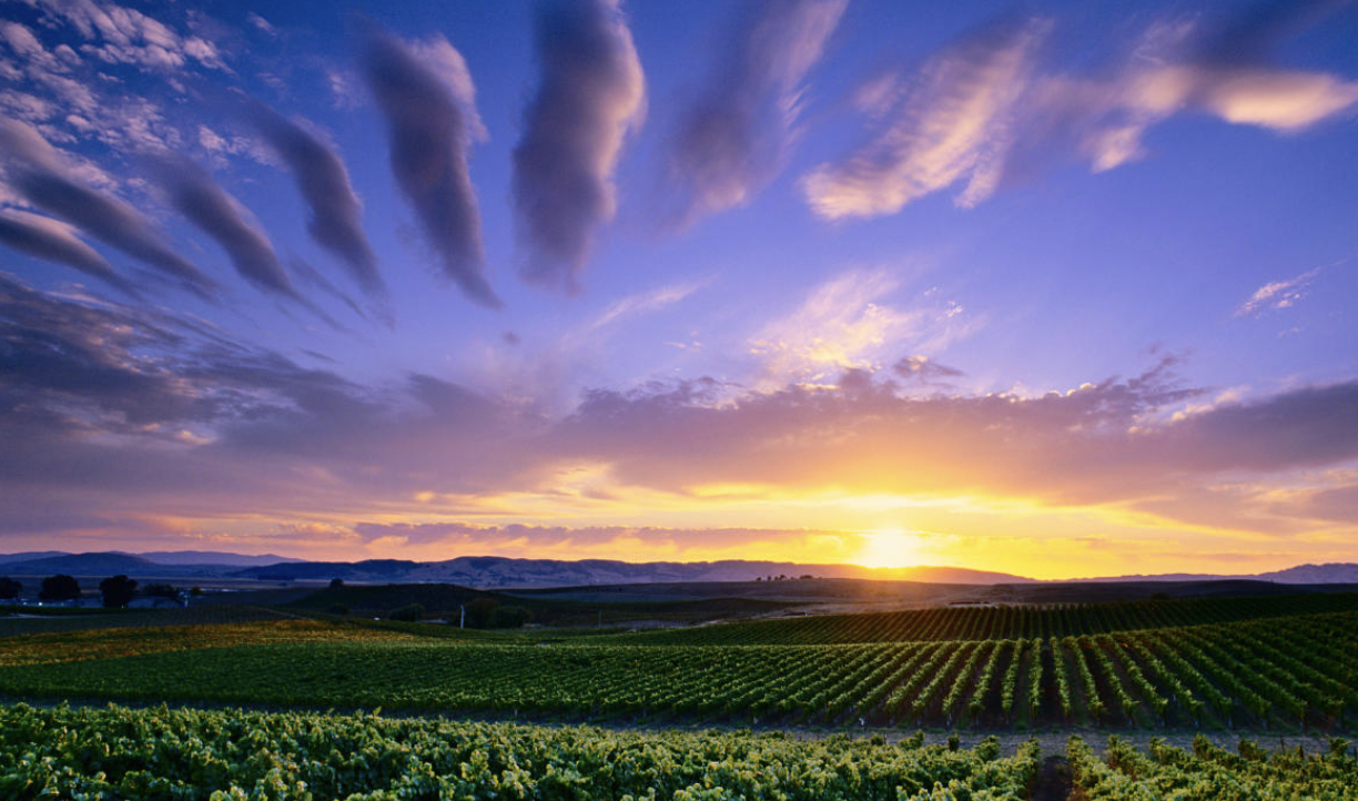 Spring Into Action Sonoma's Real Estate Market Sees Surge in Open